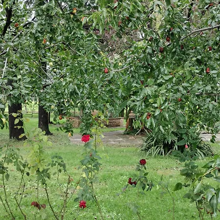 Corte Vitelleria * San Pietro di Morubio