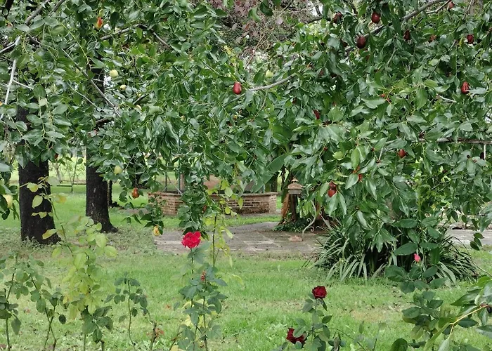 Corte Vitelleria * San Pietro di Morubio